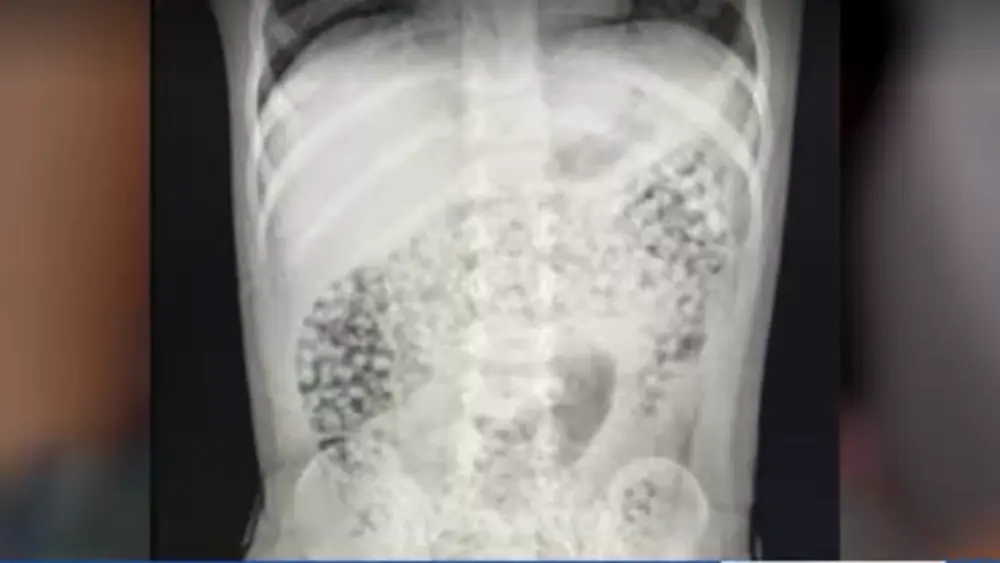 New safety regulations in place for popular toy 'Water Beads'