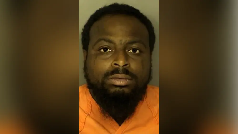 Woman mouths 'Help me' during traffic stop, leads to arrest in deadly South Carolina shooting