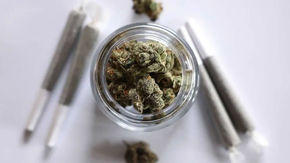 Scientists say marijuana doesn’t ease anxiety or other mental health conditions