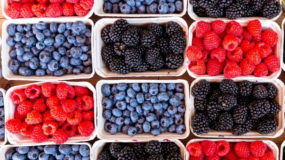 A unique combo of two top diets slowed brain aging by over 2 years