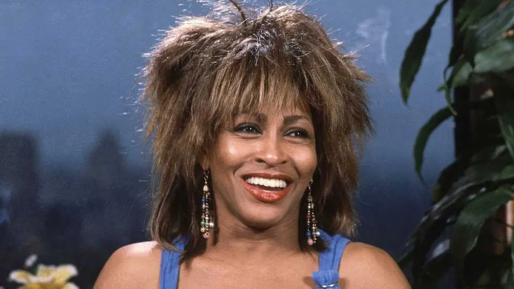 Tina Turner's name, image, likeness and most music catalog rights acquired by Pophouse