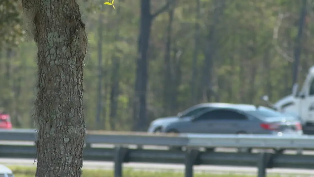 GDOT seeks feedback on I-95 widening