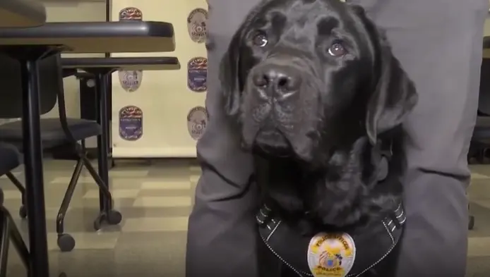 Kentucky police department introduces K-9 to help fight child exploitation