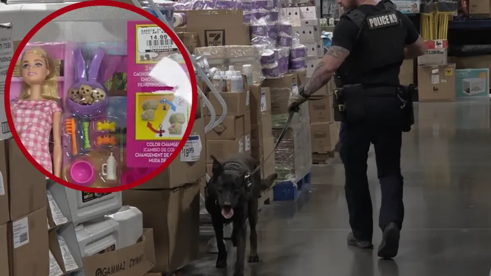 untitled-2-69c2b36b047ff