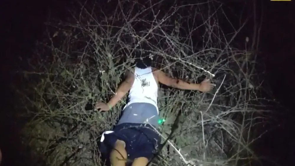 'I'm in stickers!': Body camera video shows suspect facedown in thorn bushes after chase