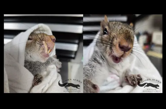 screenshot-2026-03-24-184653-69c3146ac410e