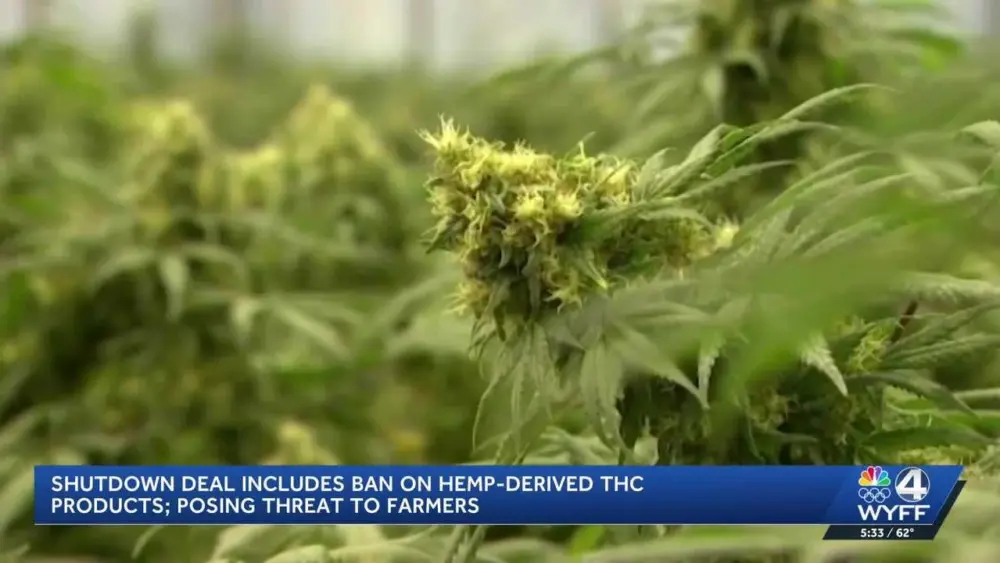 South Carolina hemp industry sounding alarm on proposed legislation