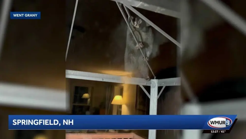 Video: Bear seen on top of structure outside home in New Hampshire
