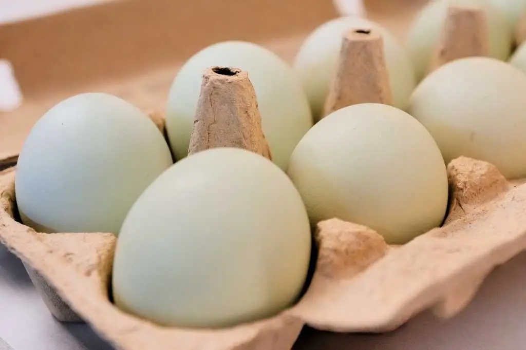 Eggs for Easter cost much less in the US than last year. A look at the numbers