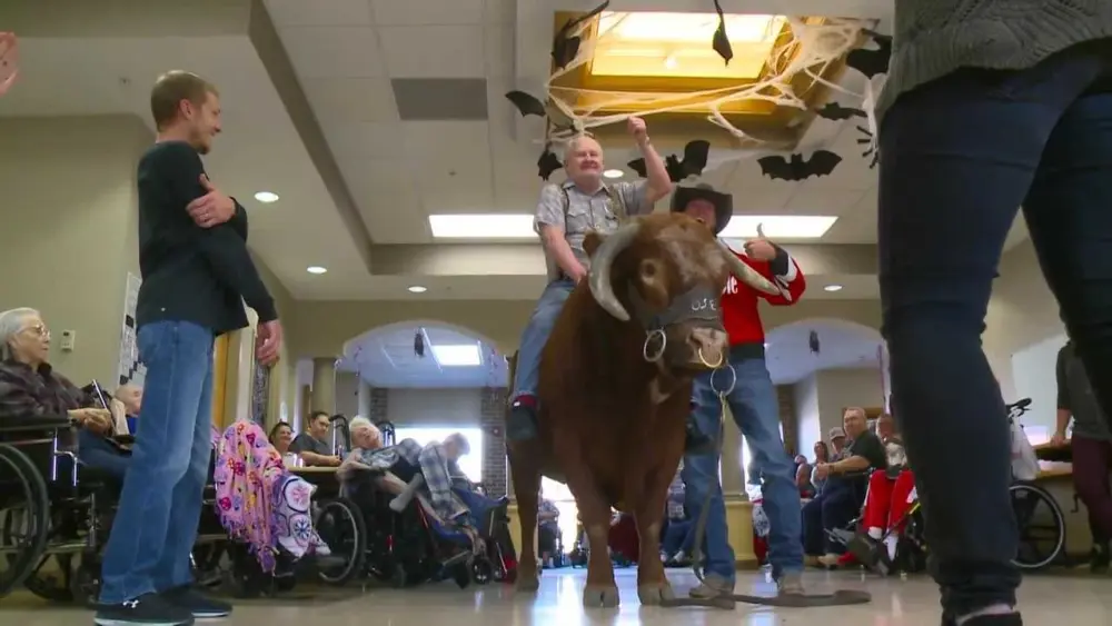 2,000-pound therapy bull who gained fame by visiting nursing homes has died
