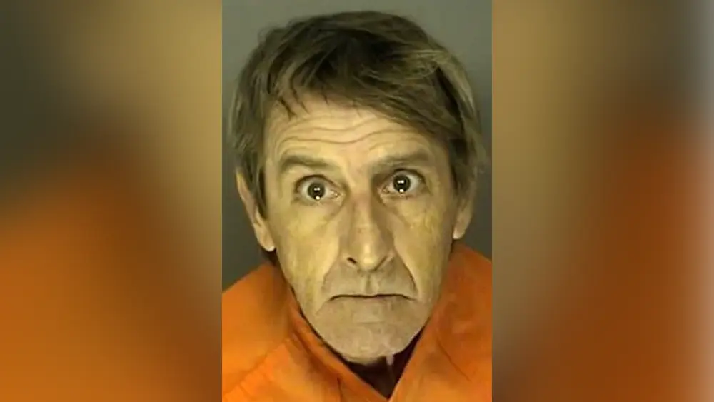 Following police chase, South Carolina man admits stabbing elderly mother to death