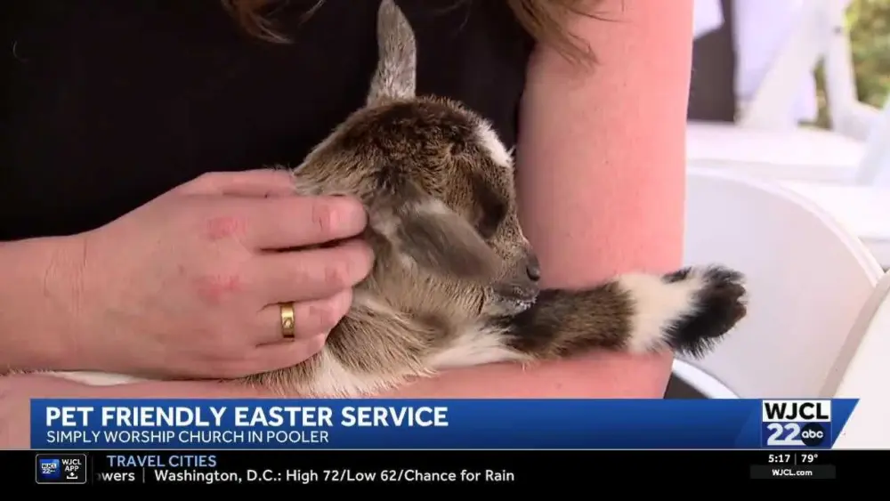 Pooler church invites community and their pets to Easter service