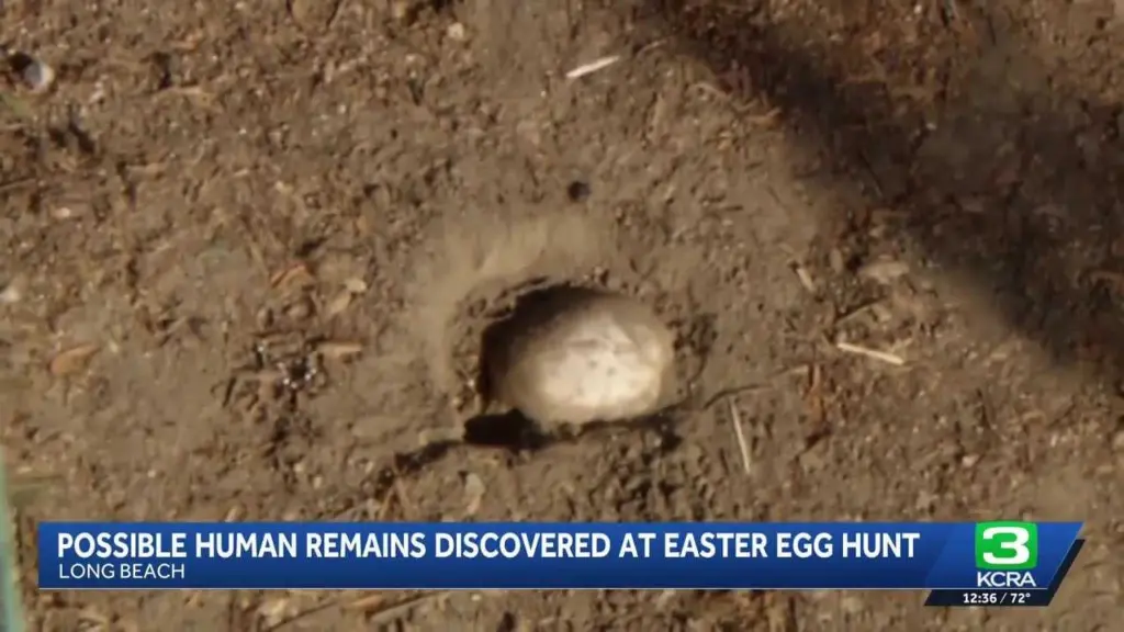 Possible human remains found during Easter egg hunt at Southern California park
