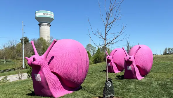 Herds of (fake) massive, pink snails are inching toward Louisville. Here's why