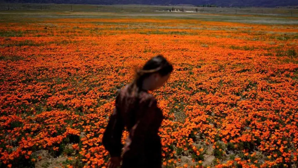 Welcome to allergy season. Here's how to protect yourself