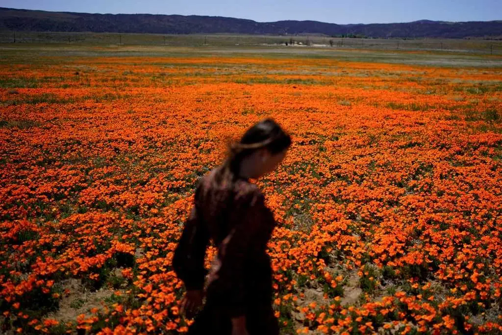 Welcome to allergy season. Here's how to protect yourself