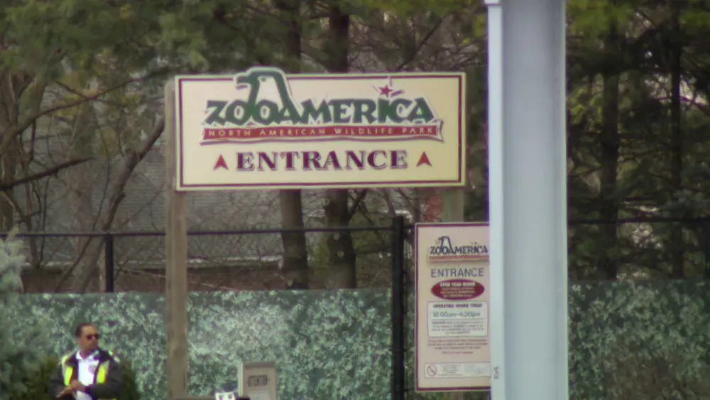 Parents of toddler whose hand was grabbed by wolf at zoo were looking at phones, police say