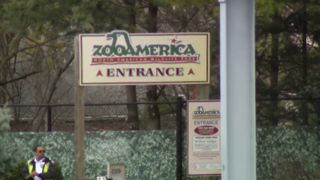 Parents of toddler whose hand was grabbed by wolf at zoo were looking at phones, police say