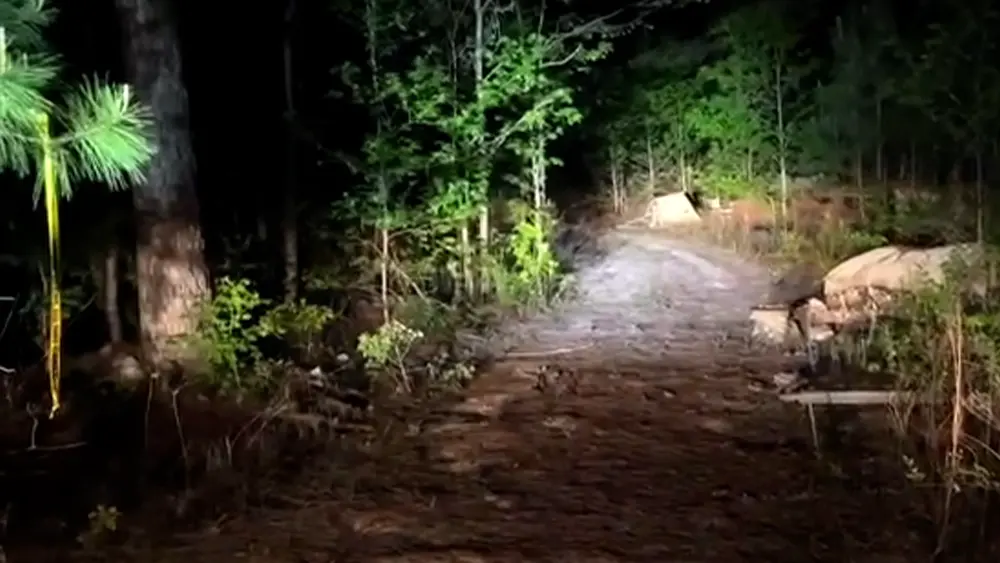 Investigation underway after human remains found in Georgia creek