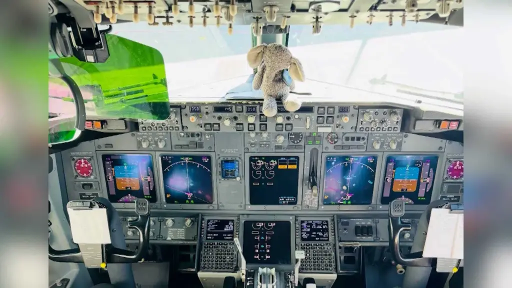 Florida airport officer reunites boy with lost stuffed elephant after two-day search