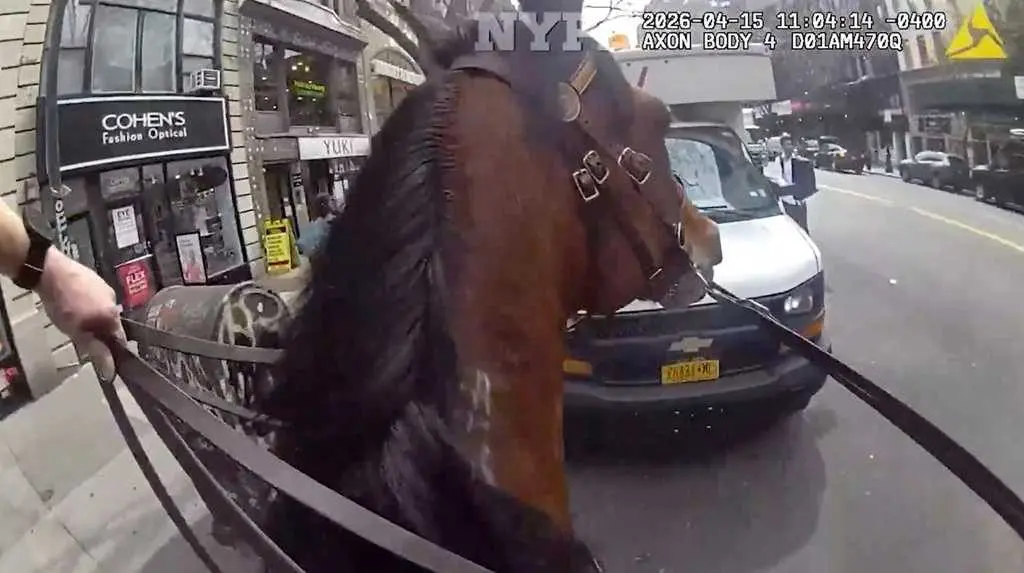 WATCH: Mounted NYPD officer and his horse corner suspected purse snatcher