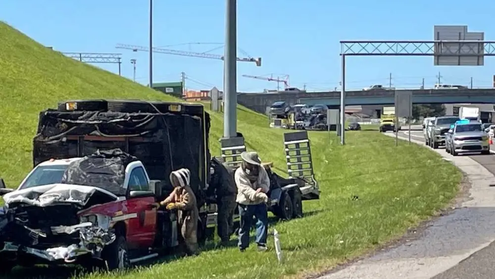 1 million bees make for bumper-to-buzzer traffic on a Tennessee highway ramp