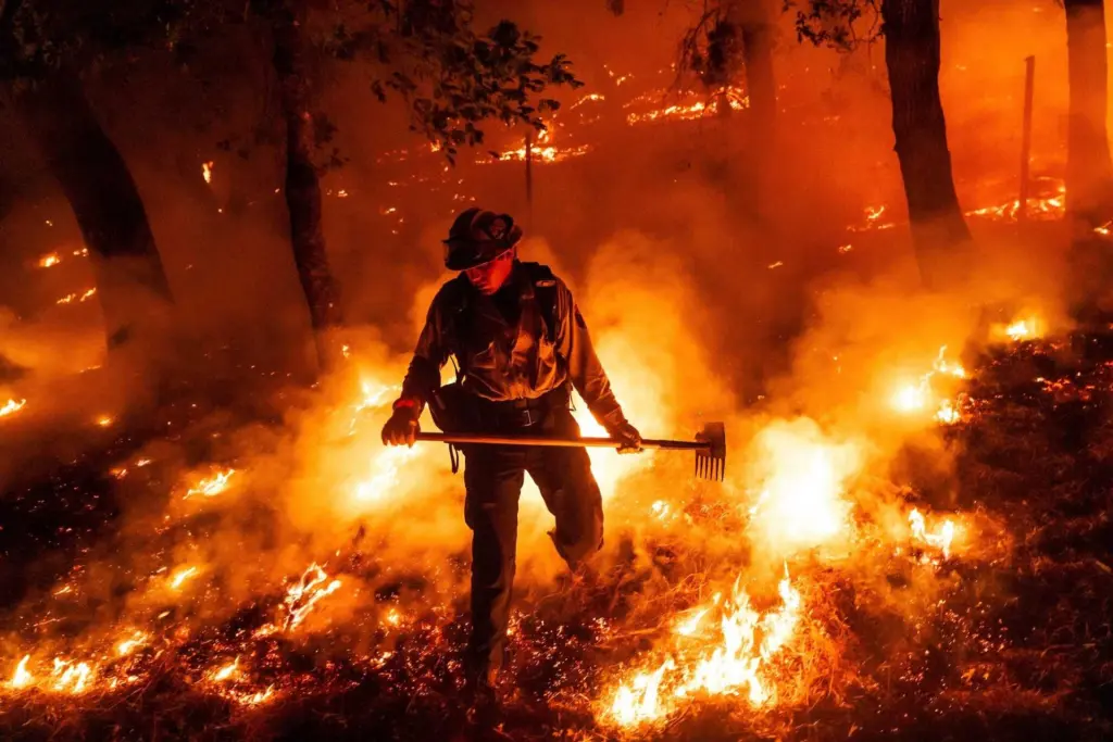Wildfires used to 'go to sleep' at night. Climate change has them burning overtime