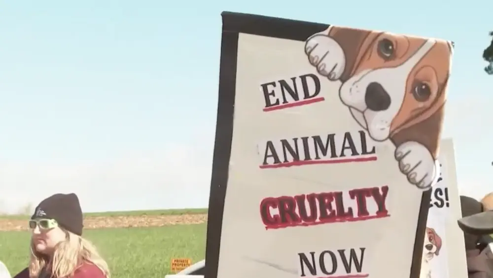 Hundreds try to storm Wisconsin beagle research facility