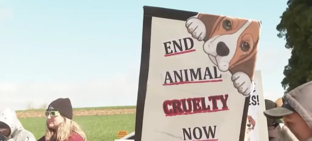 Hundreds try to storm Wisconsin beagle research facility
