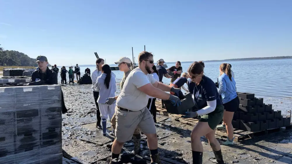 Castle for oysters? Volunteers needed for Broad River reef project