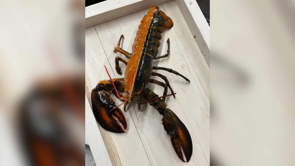 56b4a98e-9a38-4512-a9e0-5c96fdf73b2e