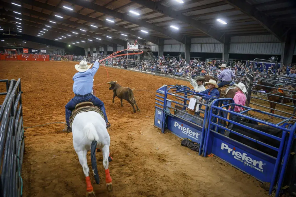 15f62826-01cd-4433-86cf-3d6e58a81e0c