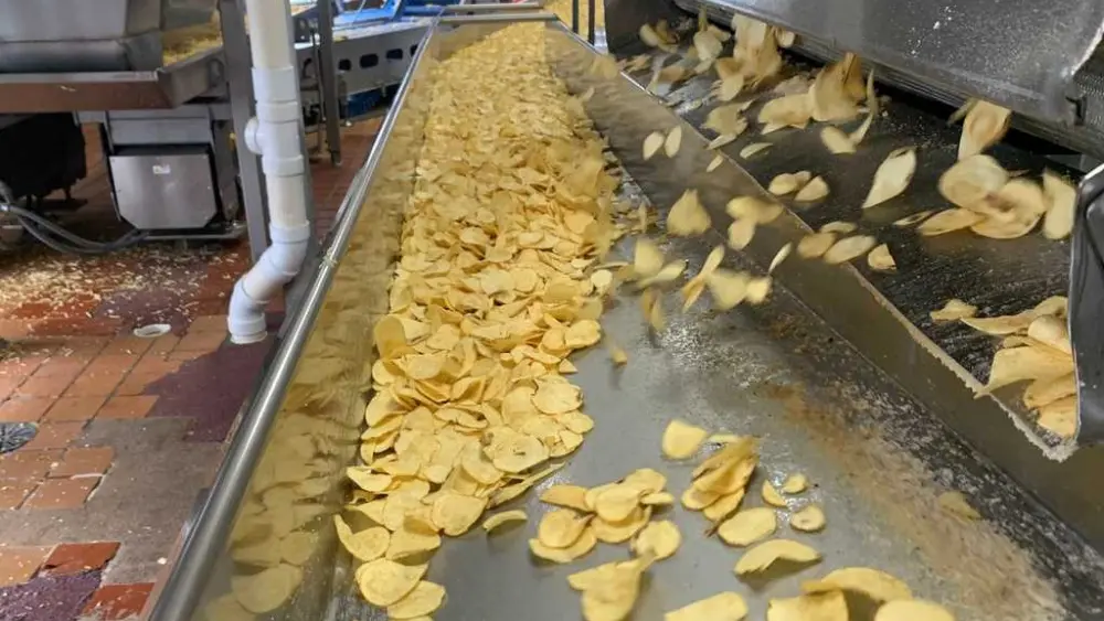 Behind every crunch: The surprising science of potato chips