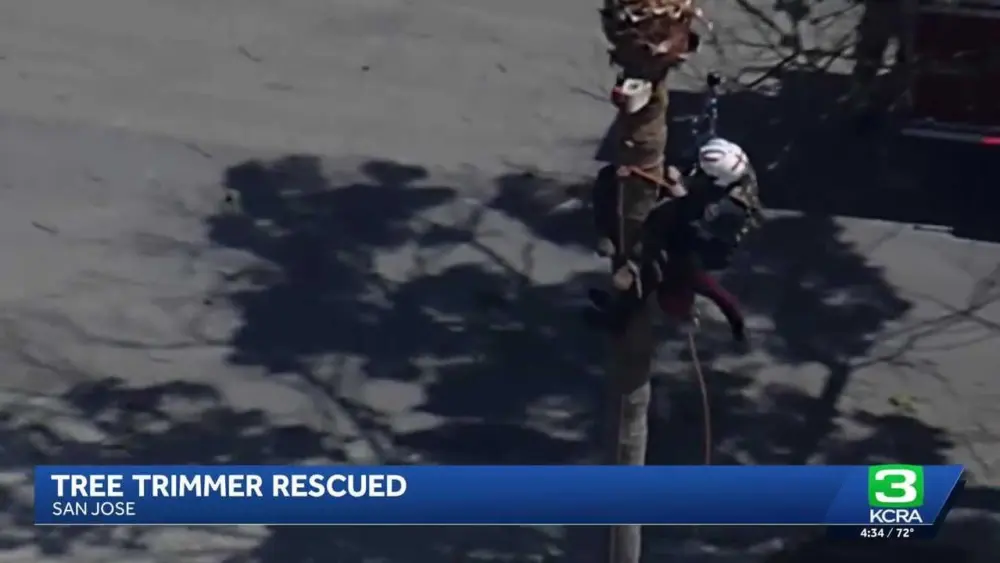 Watch: San Jose worker rescued from palm tree after medical emergency