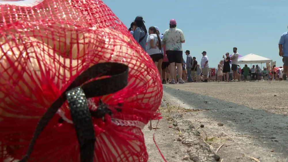 Tens of thousands pack Vidalia for annual onion fest