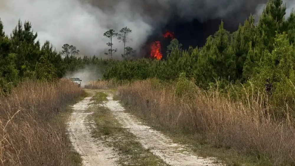 Homes destroyed, evacuations and how to help: What to know about the Southeast Georgia wildfires