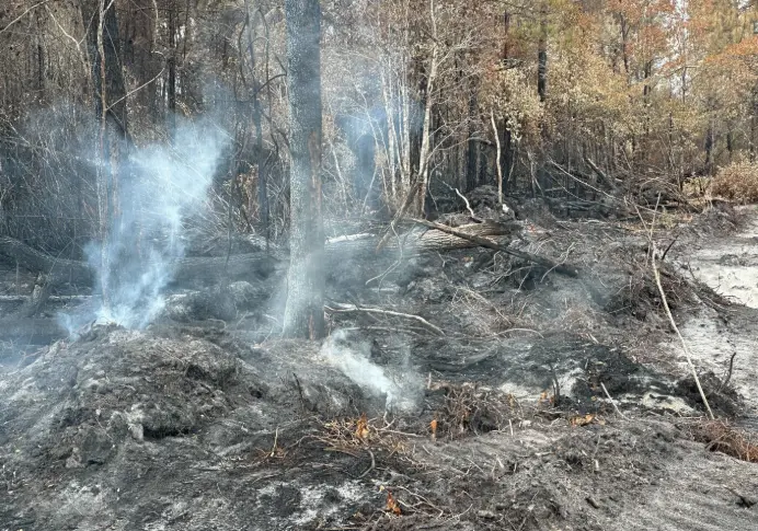 Crews gain ground on Georgia wildfires that forced thousands from homes