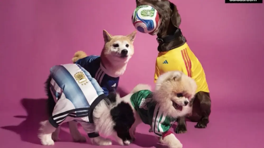 Adidas unveils World Cup pet jersey collection