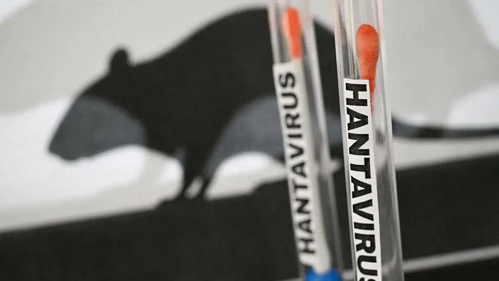 What is hantavirus? How did cruise tourists get it?