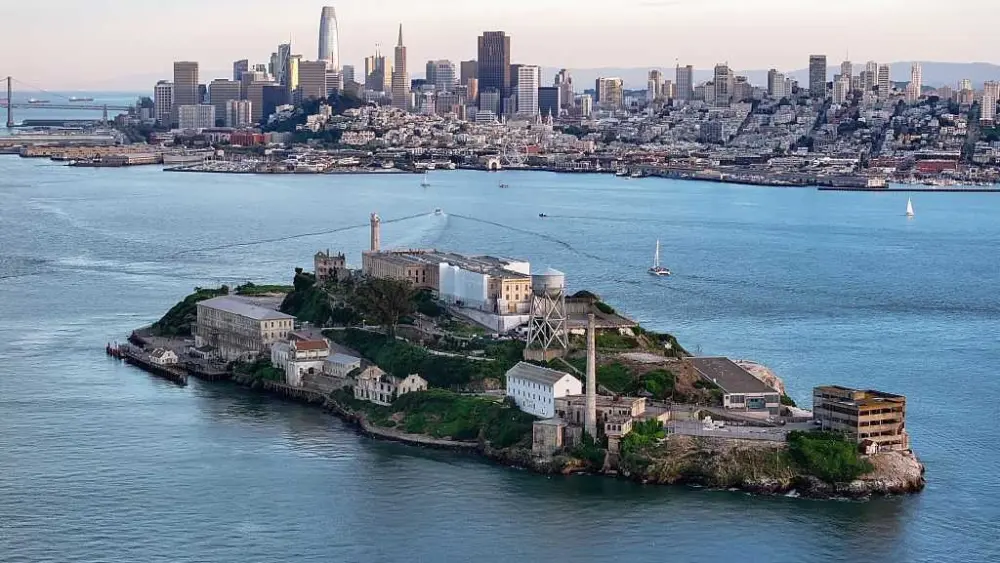 Alcatraz coyote was believed to come from San Francisco. DNA evidence shows its true origin