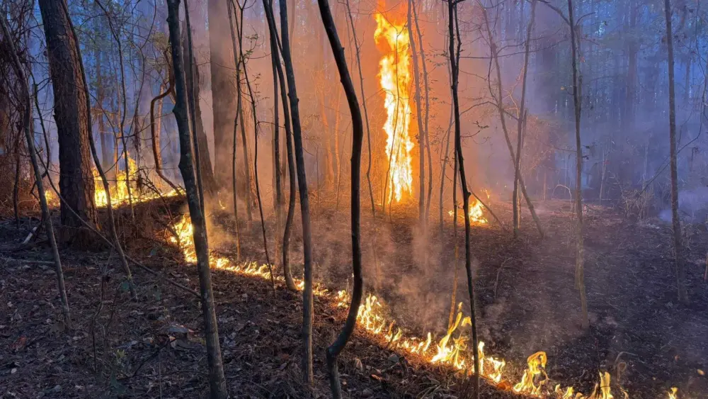 large-brush-fire-georgetown-69bdfeed3fc3b