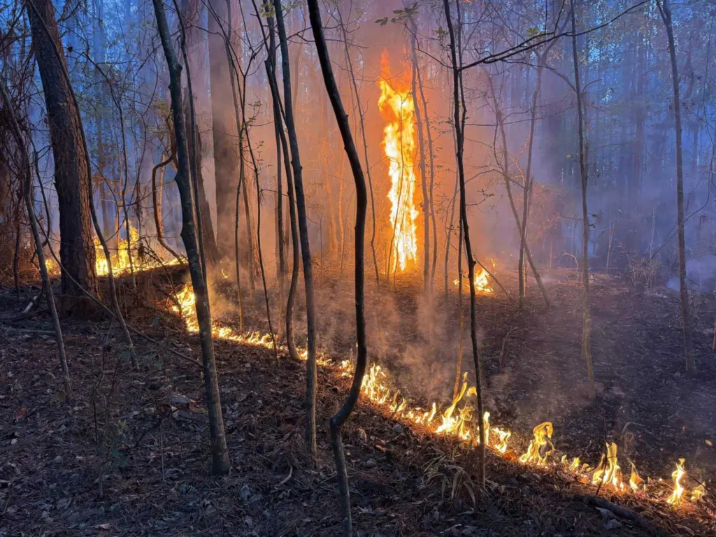large-brush-fire-georgetown-69bdfeed3fc3b