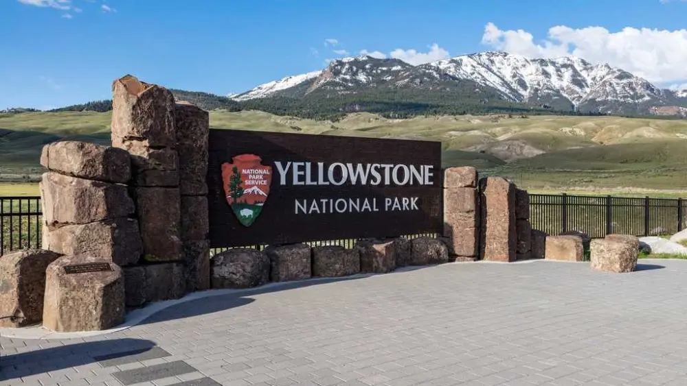 Bear attack injures two hikers in Yellowstone National Park