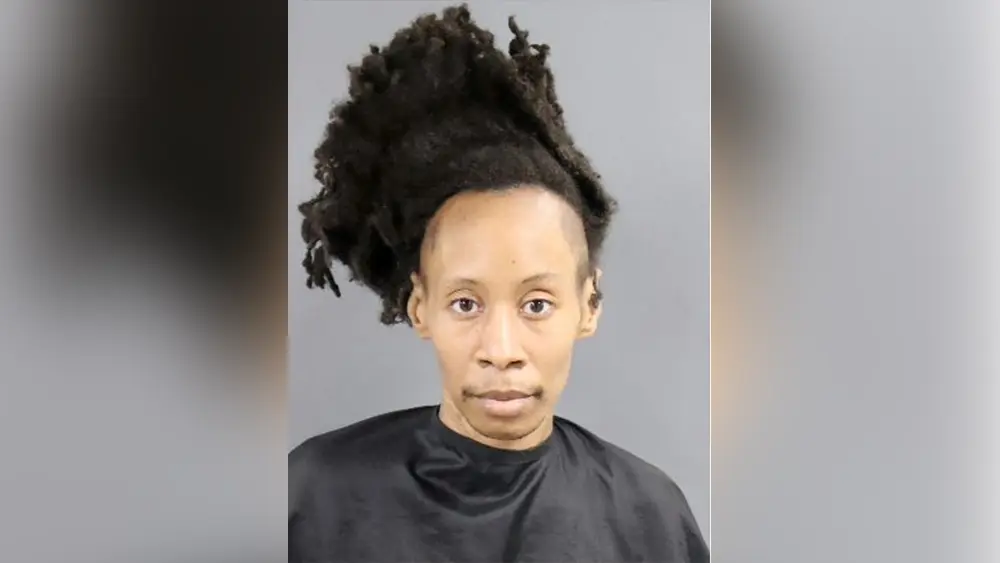 South Carolina woman accused of violently attacking her grandmother