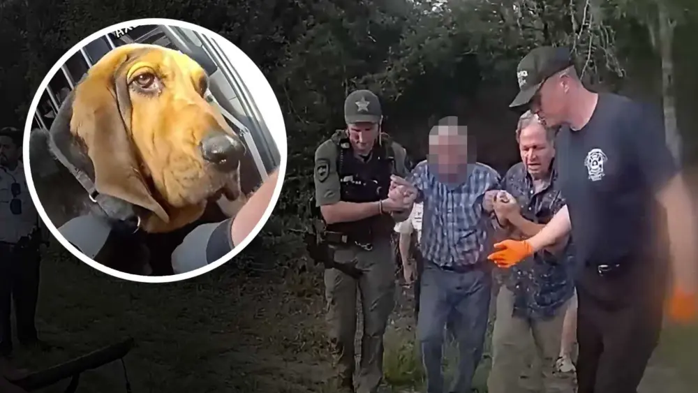 Video shows K-9 Boomer track down ‘missing and endangered’ 96-year-old man