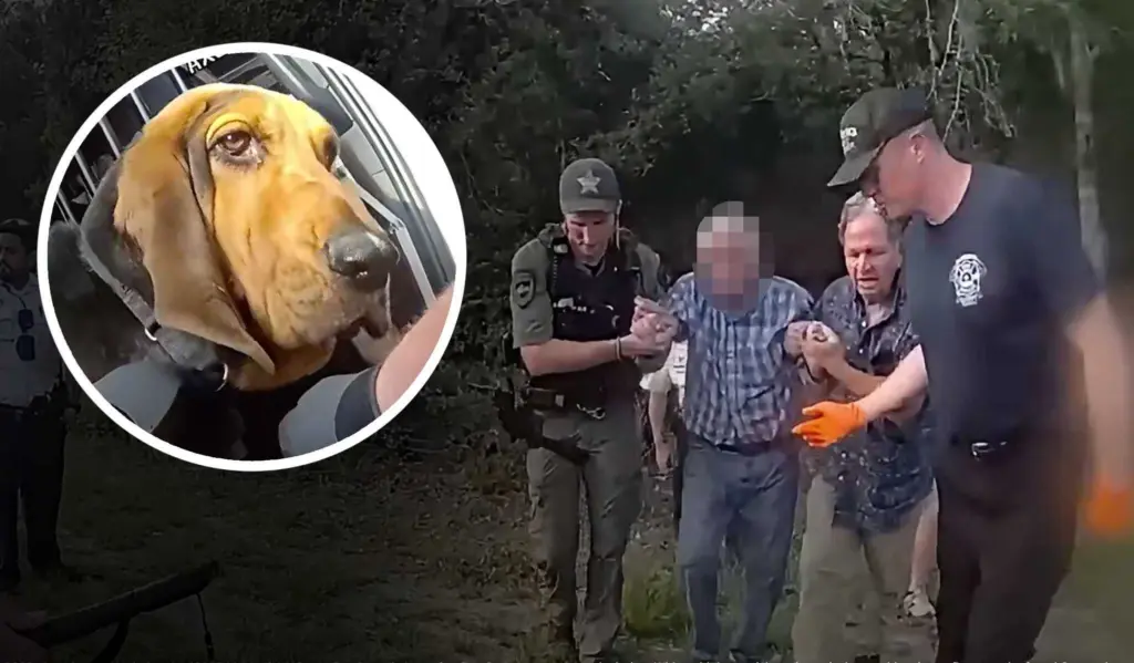 Video shows K-9 Boomer track down ‘missing and endangered’ 96-year-old man