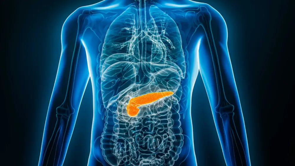 New pancreatic cancer drug sees patients live almost twice as long in clinical trial