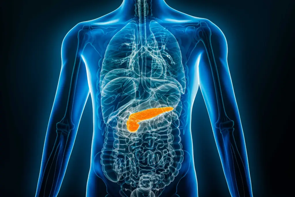 New pancreatic cancer drug sees patients live almost twice as long in clinical trial