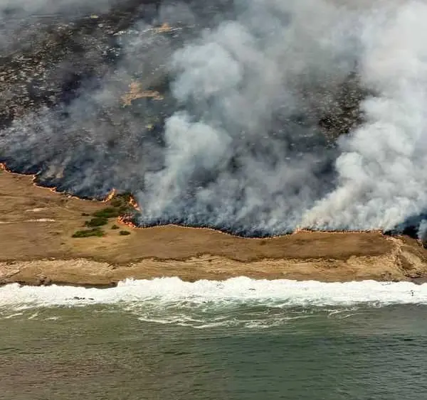 Nearly a third of National Park island has burned in spate of Southern California wildfires