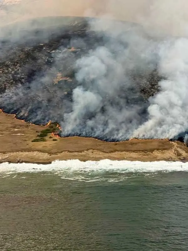 Nearly a third of National Park island has burned in spate of Southern California wildfires